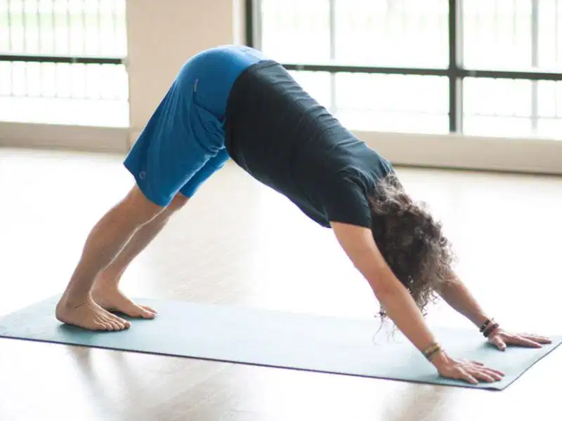 Tư thế chó úp mặt Adho Mukha Svanasana hình chữ V ngược Tư thế chó úp mặt Adho Mukha Svanasana hình chữ V ngược