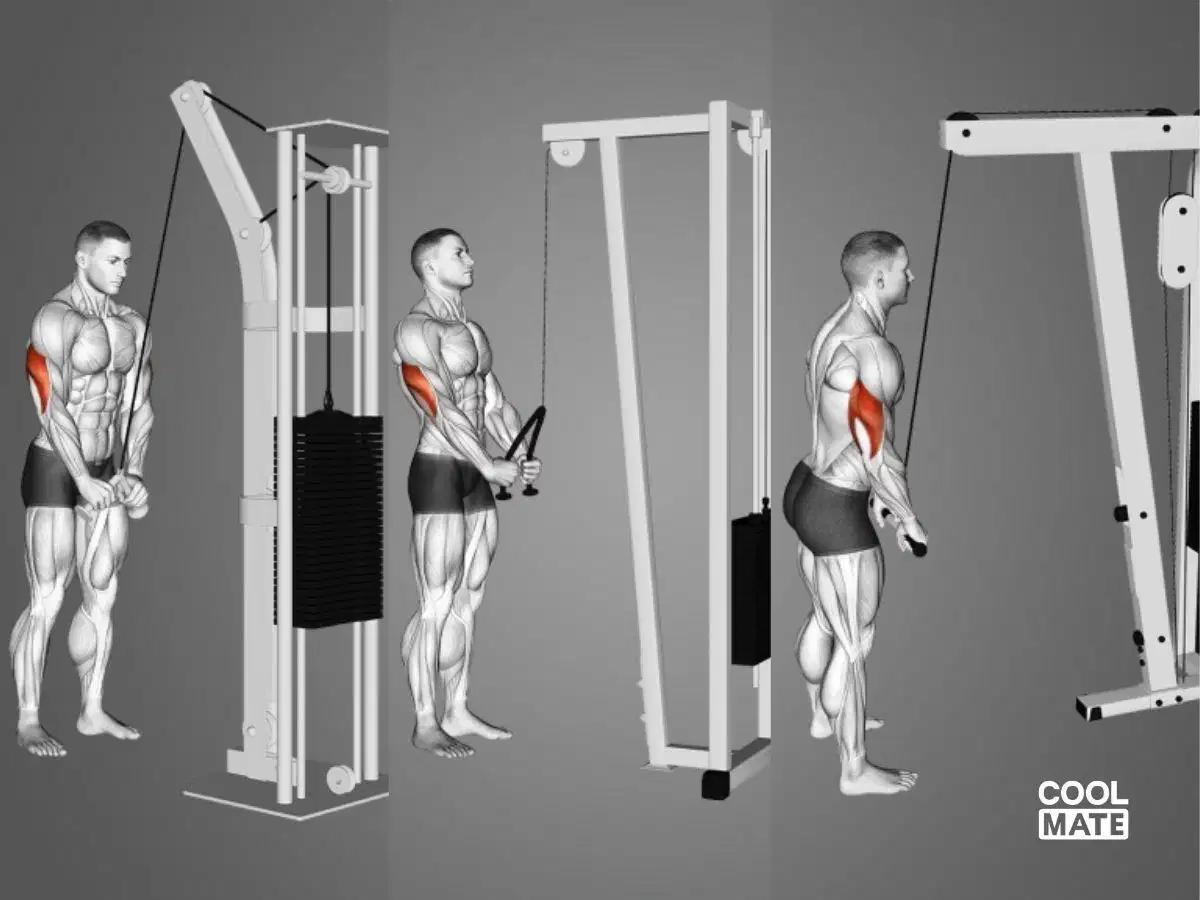 Bài tập kéo cáp dây thừng Bài tập kéo cáp dây thừng phát triển cơ tay sau
