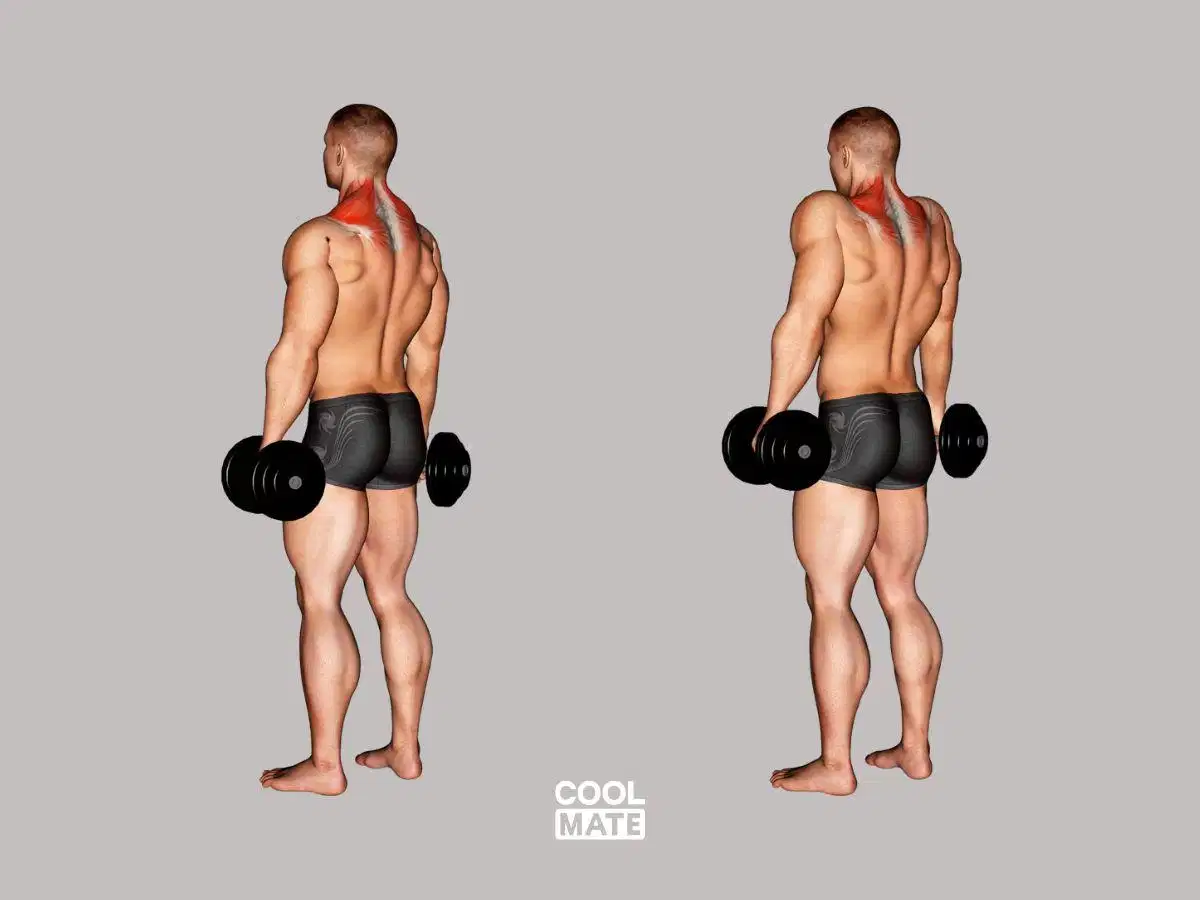 Bài tập nhún vai Động tác nhún vai Dumbbell Shrugs