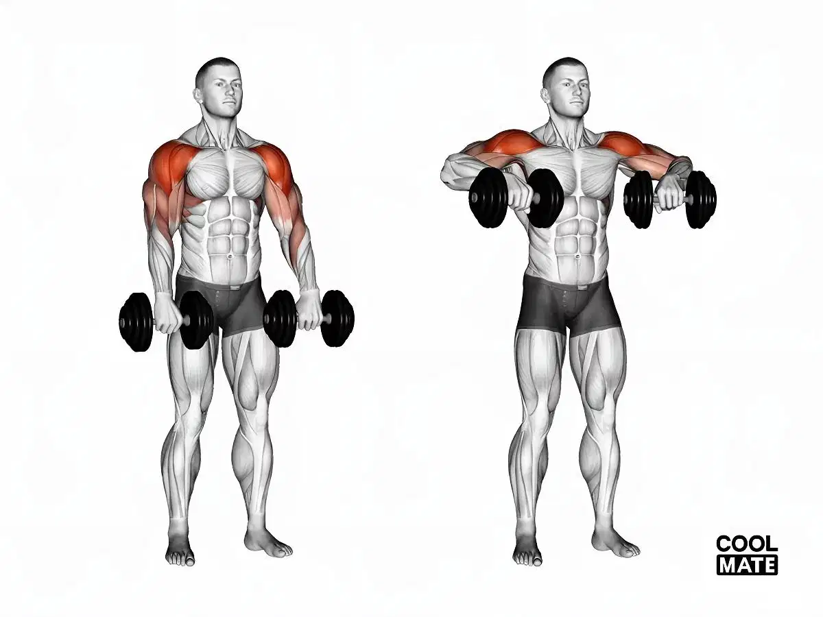 Bài tập Upright Row Động tác kéo tạ thẳng đứng Upright Row