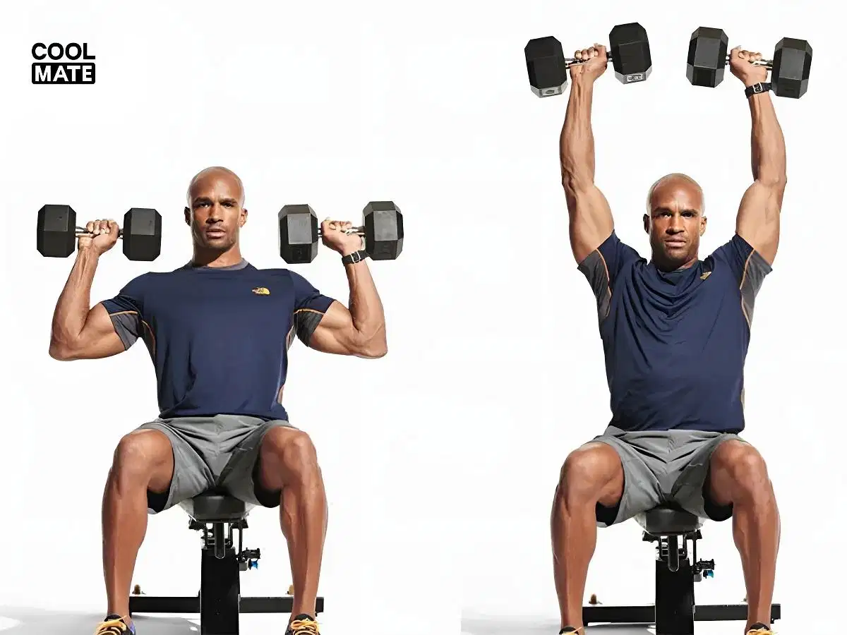 Bài tập vai Seated Dumbbell Shoulder Press Động tác ngồi đẩy tạ đôi Seated Dumbbell Shoulder Press