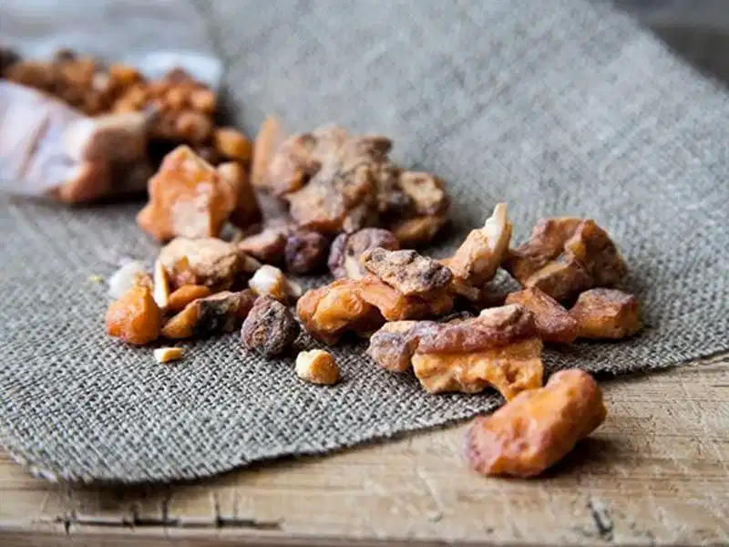 Nguyên liệu nhựa cây benzoin styrax trong điều chế hương