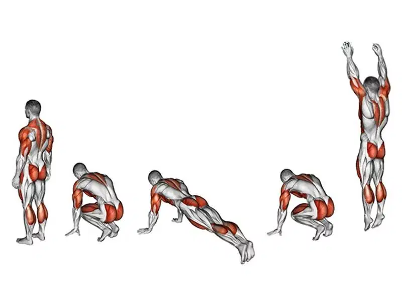 Burpee là gì? Các lợi ích và cách tập Burpee Burpee là gì? Tổng hợp kỹ thuật và các biến thể tập luyện
