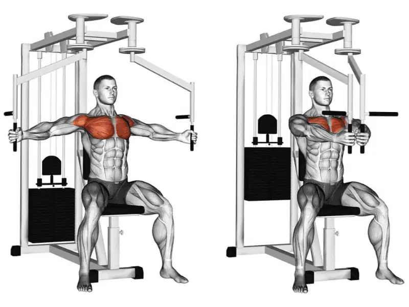 cac-loai-may-gym-3262