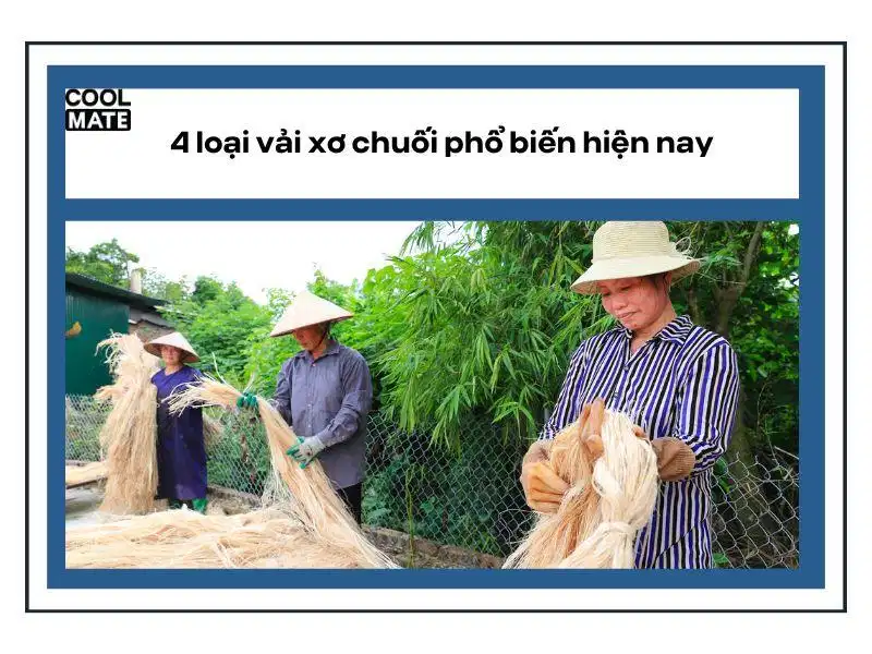 Các loại vải sợi chuối phổ biến Các loại vải sợi chuối phổ biến