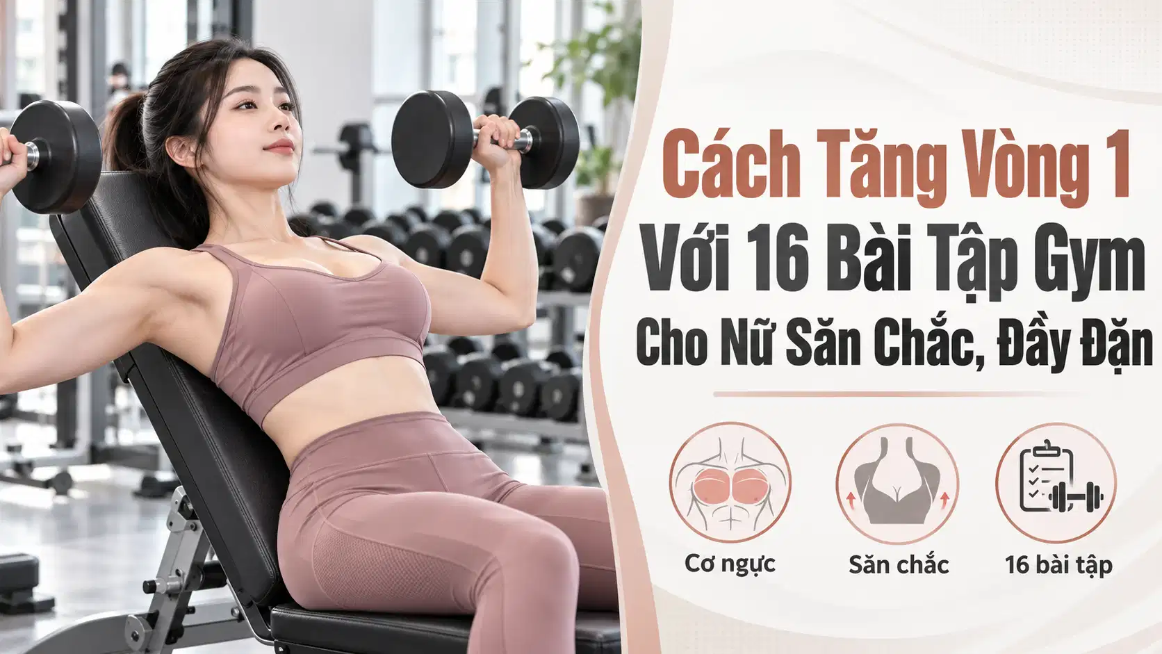 Cách Tăng Vòng 1 Với 16 Bài Tập Gym Cho Nữ Săn Chắc, Đầy Đặn
