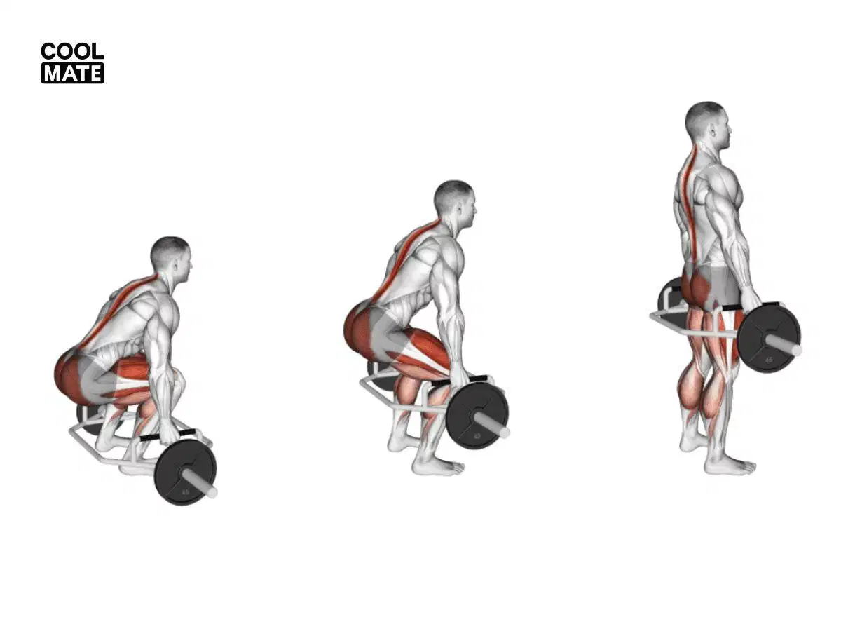 Tư thế giữ lưng thẳng an toàn trong bài Deadlift Tư thế giữ lưng thẳng an toàn trong bài Deadlift