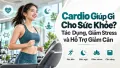 Cardio Giúp Gì Cho Sức Khỏe? Tác Dụng, Giảm Stress và Hỗ Trợ Giảm Cân