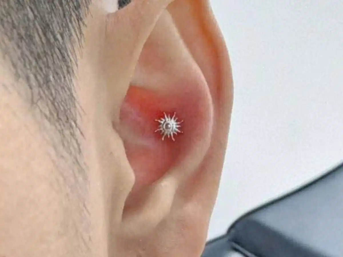 Conch là vị trí xỏ qua phần sụn lớn và sâu ở trung tâm tai Conch là vị trí xỏ qua phần sụn lớn và sâu ở trung tâm tai