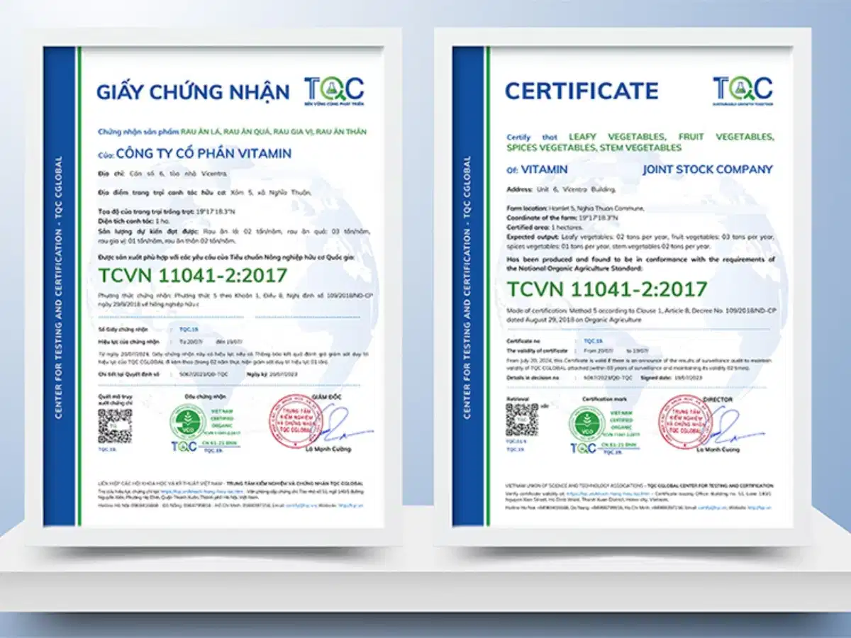 Các chứng nhận cotton hữu cơ uy tín Chứng nhận tiêu chuẩn cotton hữu cơ GOTS và OCS
