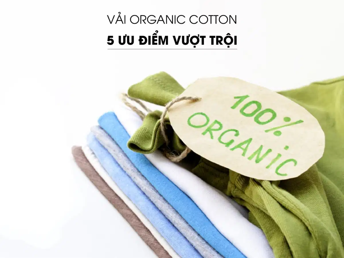 Ưu điểm nổi bật của chất liệu cotton hữu cơ Chất liệu cotton hữu cơ mềm mại và thoáng khí