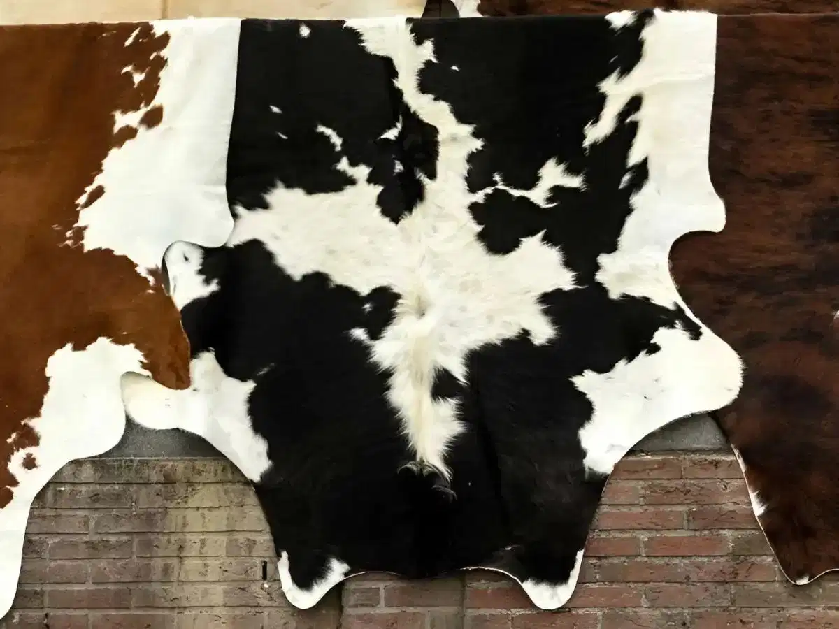 Đánh giá ưu nhược điểm của da Calfskin trong ứng dụng may mặc phụ kiện