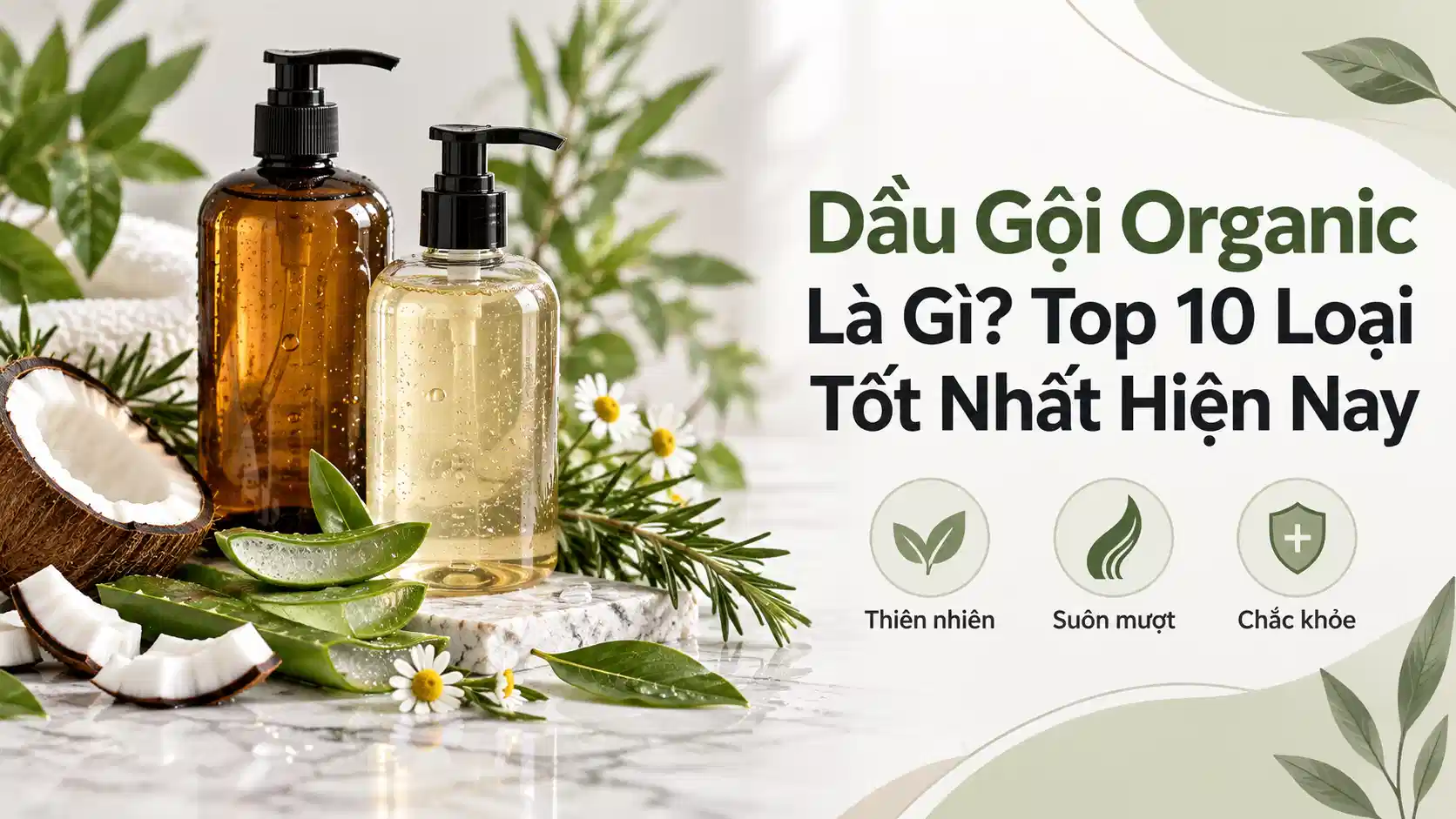 Dầu Gội Organic Là Gì? Top 10 Loại Tốt Nhất Hiện Nay