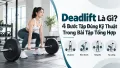 Deadlift Là Gì? 4 Bước Tập Đúng Kỹ Thuật Trong Bài Tập Tổng Hợp