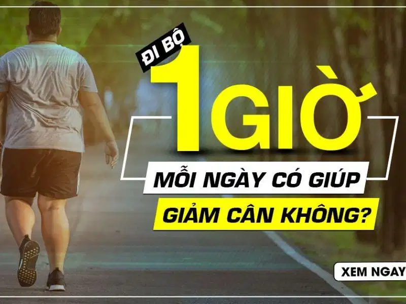 Đi bộ giảm cân và kiểm soát cân nặng hiệu quả Đi bộ có giúp giảm cân không và cơ chế đốt cháy mỡ thừa