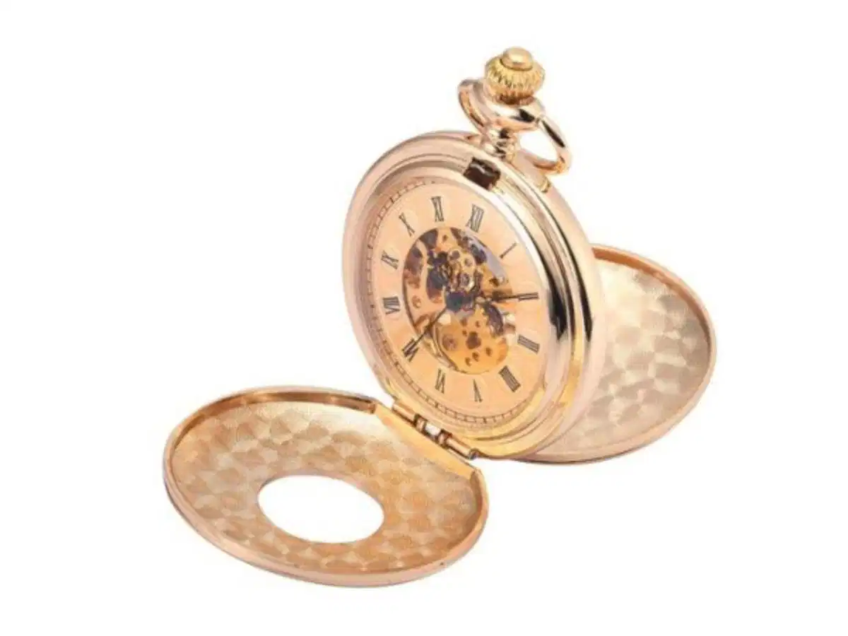Đúng như tên gọi Double Hunter, loại đồng hồ này có nắp đậy ở cả mặt trước và mặt sau Đúng như tên gọi Double Hunter, loại đồng hồ này có nắp đậy ở cả mặt trước và mặt sau