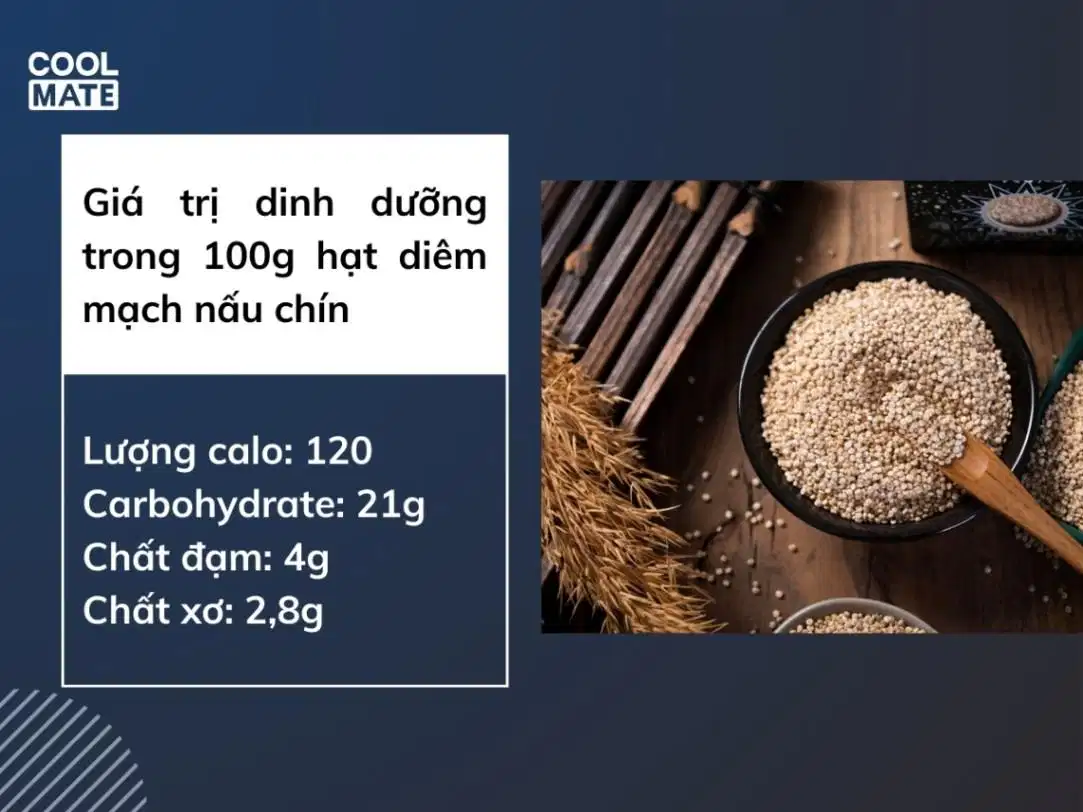 Giá trị dinh dưỡng của diêm mạch Giá trị dinh dưỡng của diêm mạch cho runner