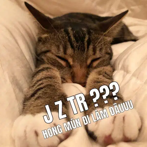 Cụm viết tắt J z tr trên mạng xã hội