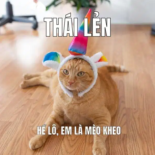 Trào lưu biến âm kiểu tiếng Thái
