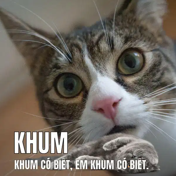 Từ Khum biểu thị sự từ chối nhẹ nhàng