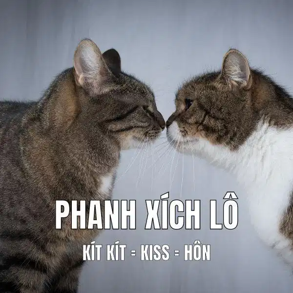 Tiếng lóng Phanh xích lô