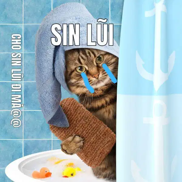 Từ ngữ Sin lũi trong giao tiếp giới trẻ