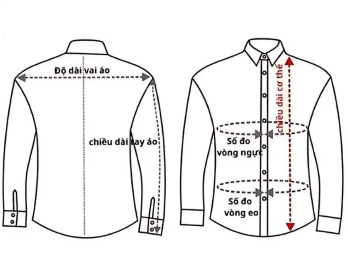 Cách lấy số đo cơ thể khi chọn mua áo khoác jeans Minh họa vị trí đo chiều rộng vai, vòng ngực và chiều dài tay áo
