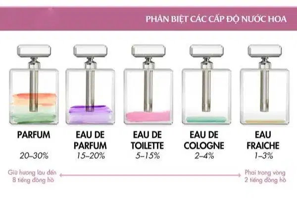 Kiến thức cơ bản về nước hoa nam Kiến thức cơ bản về nước hoa nam