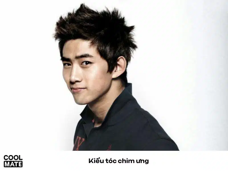 Tóc chim ưng biến thể Kiểu tóc textured faux hawk cho nam