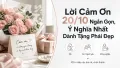 Lời Cảm Ơn 20/10 Ngắn Gọn Và Ý Nghĩa Dành Cho Phái Đẹp