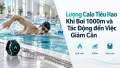 Lượng Calo Tiêu Hao Khi Bơi 1000m và Tác Động đến Việc Giảm Cân