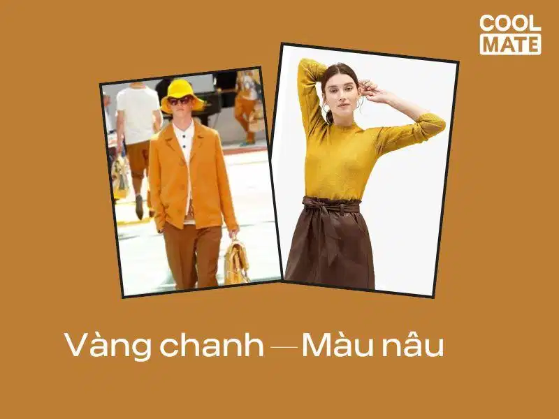 Màu vàng chanh - màu nâu Màu vàng chanh - màu nâu