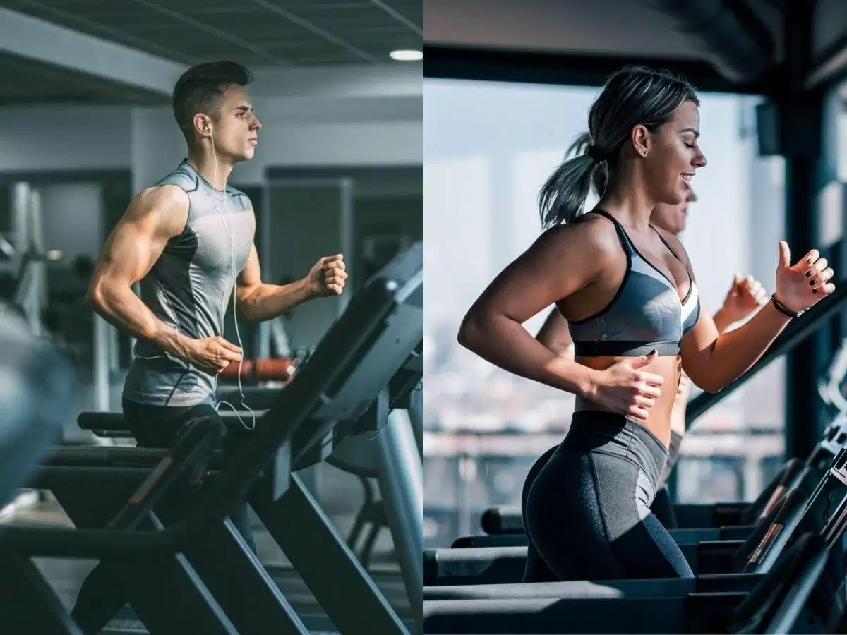 Máy chạy bộ trên thị trường có độ bền và hiệu quả vận hành tốt Máy chạy bộ tiêu chuẩn công nghiệp đảm bảo khả năng vận hành lâu dài và giảm chấn an toàn