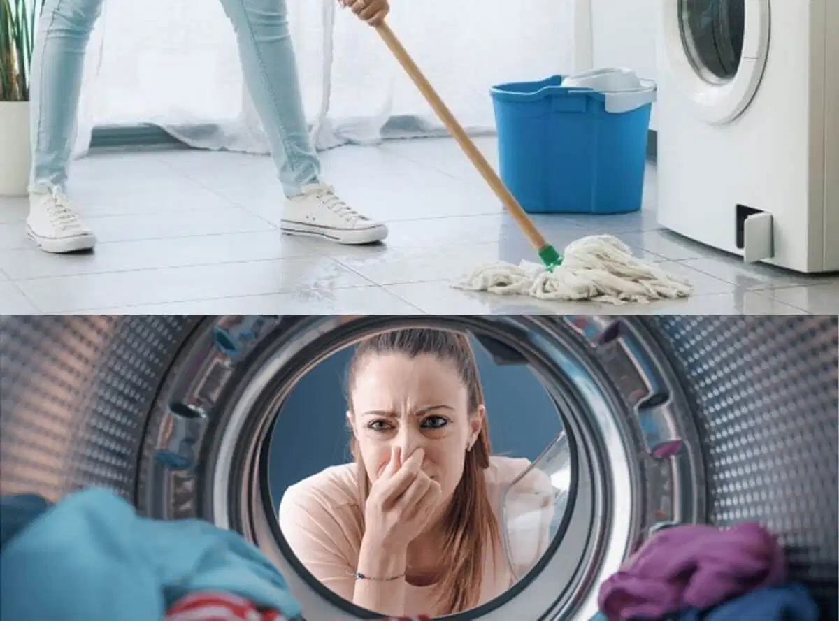 Máy sấy quần áo rò nước hoặc có mùi khét ẩm mốc do tắc thoát nước hay thiếu vệ sinh
