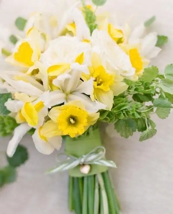Hoa thủy tiên vàng Hoa thủy tiên vàng nhẹ nhàng