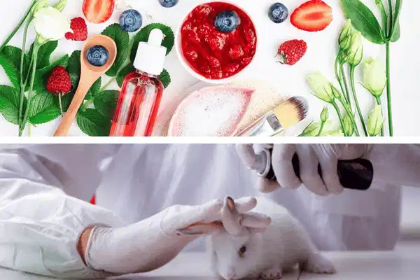 Cam kết Cruelty-Free và Vegan Cam kết không thử nghiệm trên động vật là tiêu chí quan trọng của mỹ phẩm nhân đạo