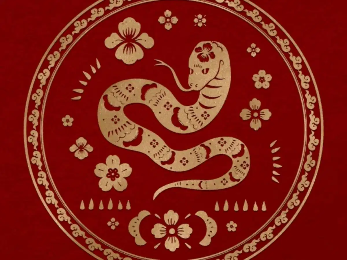 Năm Ất Tỵ Thông tin minh họa về năm Ất Tỵ