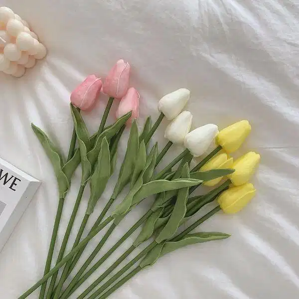 Hoa tulip thanh lịch cho buổi hẹn hò Hoa tulip với phom dáng thanh thoát và hiện đại
