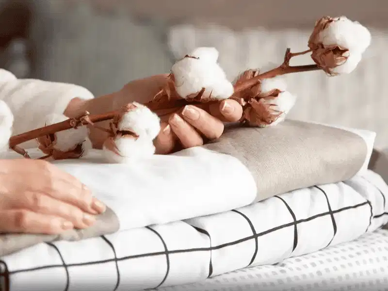 Nguồn gốc và đặc điểm của vải cotton Nguồn gốc và đặc điểm của vải cotton tự nhiên trong ngành dệt may
