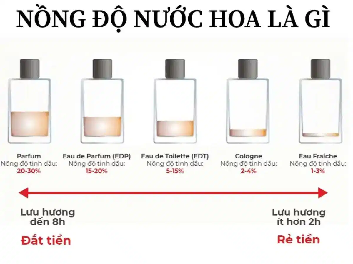 Phân cấp nồng độ nước hoa nam Bảng phân biệt các cấp độ nồng độ tinh dầu nước hoa EDT EDP Parfum