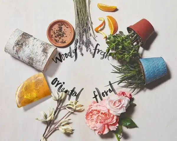 Bánh xe các nhóm hương cơ bản trong ngành chế tác nước hoa Bánh xe các nhóm hương cơ bản trong ngành chế tác nước hoa