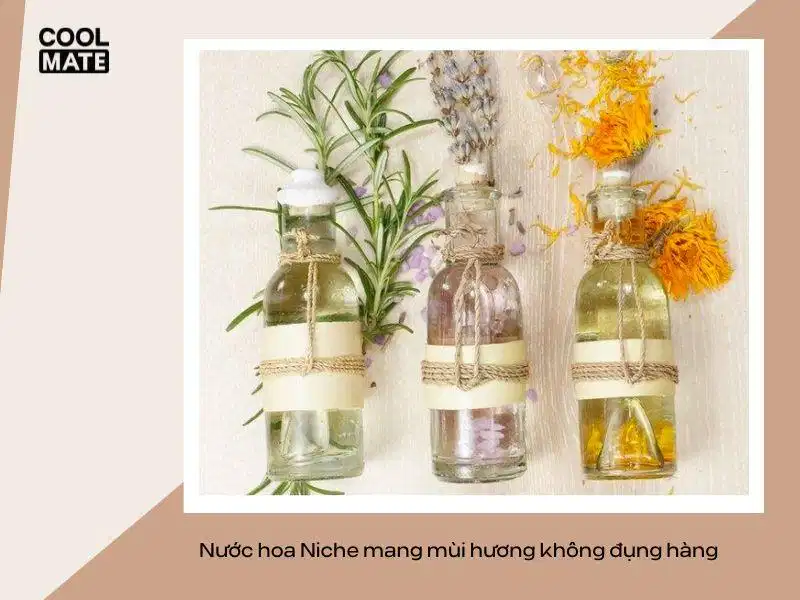 Cấu trúc nốt hương Niche khác biệt Cấu trúc nốt hương độc đáo và khác biệt của nước hoa Niche
