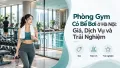 Phòng Gym Có Bể Bơi ở Hà Nội: Giá, Dịch Vụ và Trải Nghiệm