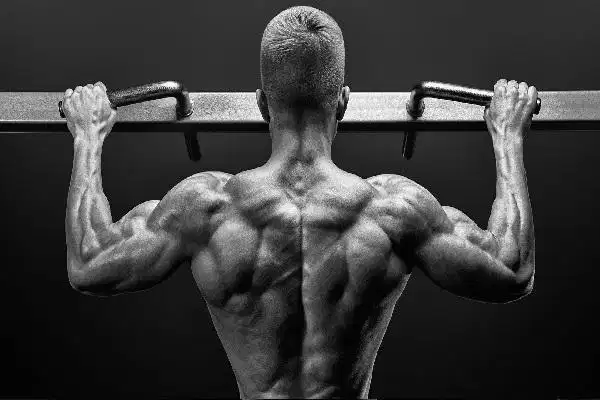 Pull up (kéo xà đơn): Phát triển cơ vai và cơ lưng Kéo xà đơn phát triển khối cơ xô lưng và rèn luyện thể lực vượt trội