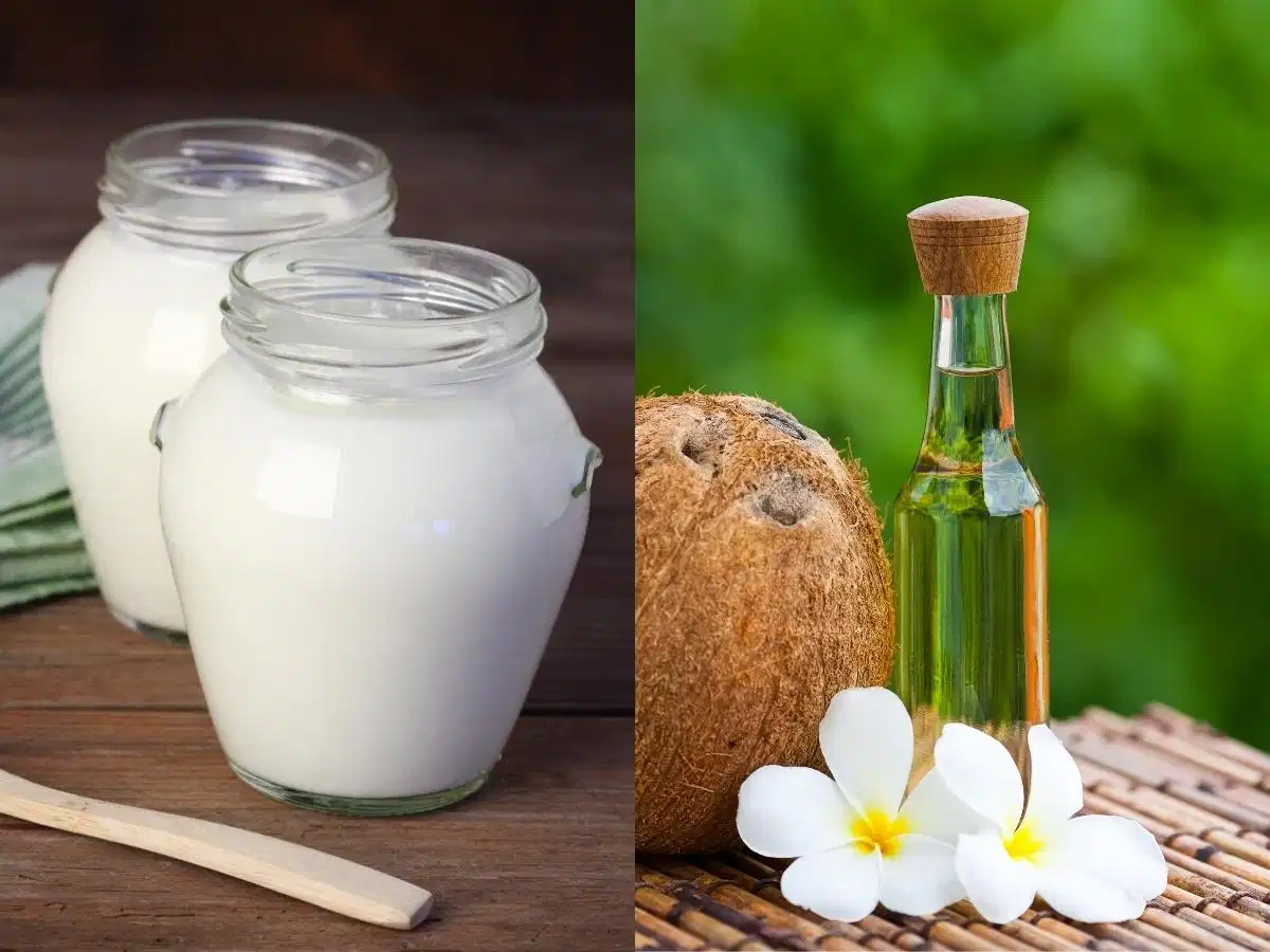 Sữa chua và dầu dừa cho vùng da khô