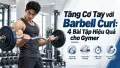Tăng Cơ Tay với Barbell Curl: 4 Bài Tập Hiệu Quả cho Gymer