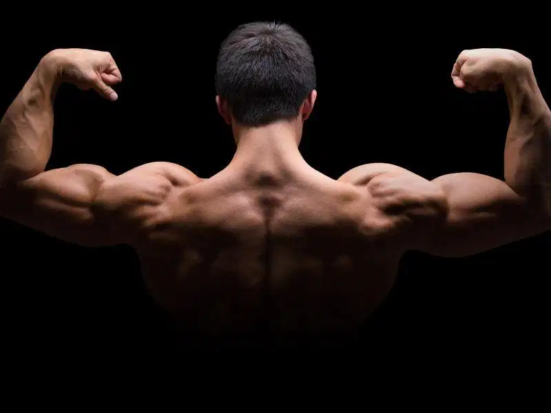 Tăng Cường Cơ Bắp Tăng cường phát triển cơ bắp thân dưới với RDL