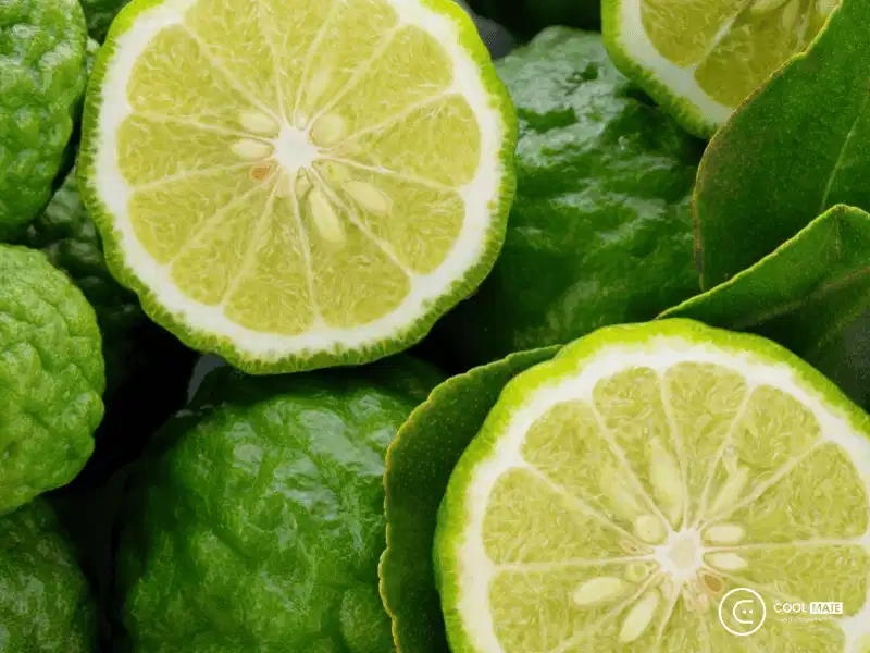 Tầng hương đầu của nhóm hương Chypre Cam bergamot là nốt hương mở đầu quen thuộc của nước hoa nhóm Chypre