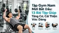 Tập Gym Nam Mới Bắt Đầu: 13 Bài Tập Giúp Tăng Cơ, Cải Thiện Vóc Dáng