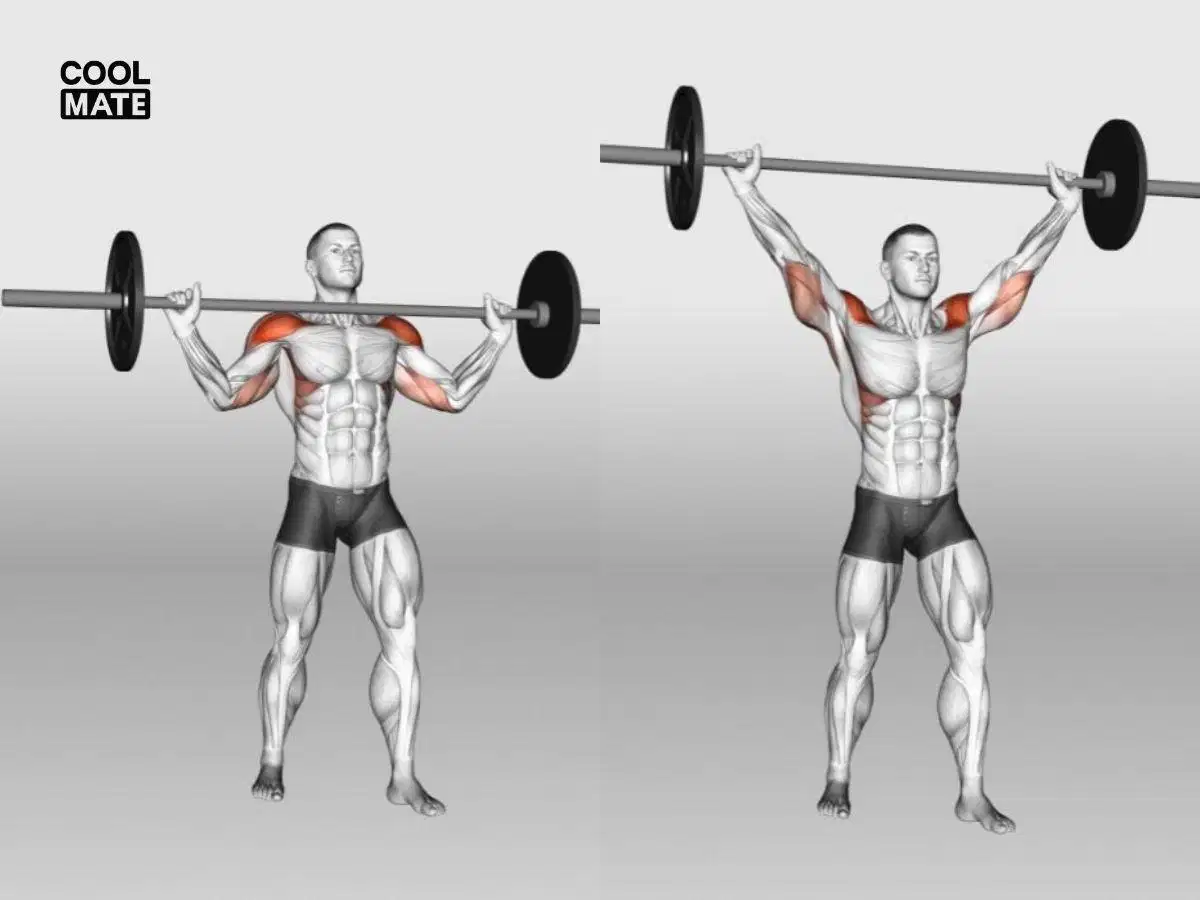 Chuyển động đẩy tạ đứng Overhead Press Chuyển động đẩy tạ đứng Overhead Press